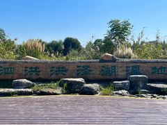 -泗洪洪泽湖湿地景区