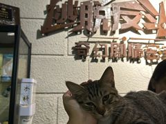 -逃脱反斗城沉浸剧情密室(北京路店)