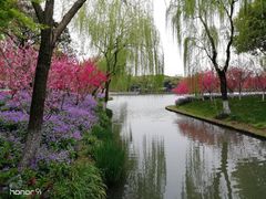 -圩墩遗址公园