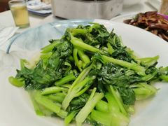 -小小饭店·休闲农庄·安吉松树林里的农家菜