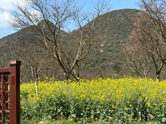 -云漫湖生态度假公园