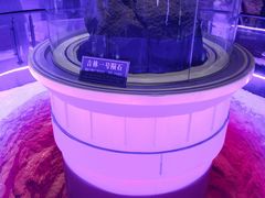 -吉林市博物馆