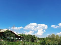 -西湖风景区-江洋畈生态公园