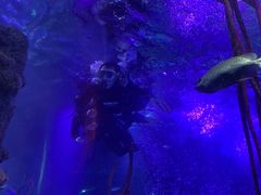 -沈阳海洋探索中心