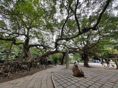 -小洲村