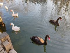 -天毓山庄·餐厅