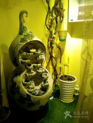 android_upload_pic-克丽缇娜