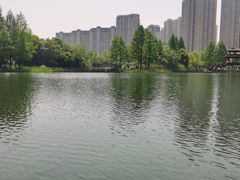 -洋湖国家湿地公园
