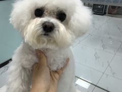 -嘉馨宠物医院·CT影像转诊·心脏科·犬猫全科诊疗中心(下沙大学城院区)