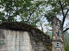-重庆武隆天生三桥风景区-神鹰天坑