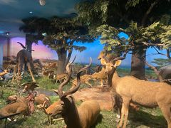 -国家自然博物馆