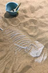 点击看大图 -恐龙探索乐园(磁器口店)