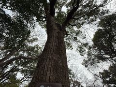 -绮园景区