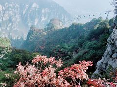 -神农山景区