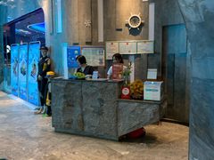 -瑞德姆美人鱼海底演艺主题餐厅(亚龙湾店)