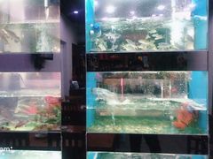 -全乐鱼馆·淳牌有机鱼直营店