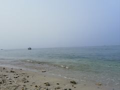 -贝壳沙滩