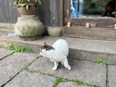 -法云安缦酒店