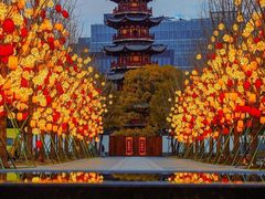 -龙华寺