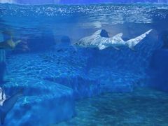 -抹直口特色菜馆(一店)