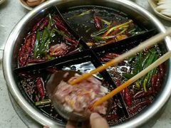 -大龙火锅(老店)