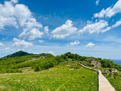 -白草畔自然风景区