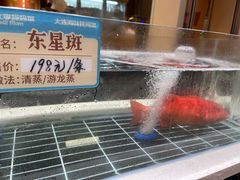 -北李·海肠捞饭·大连菜(望京凯德MALL店)