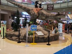 -成都浩海立方海洋公园