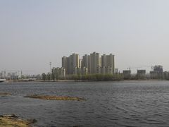 -蒲河岛湿地公园