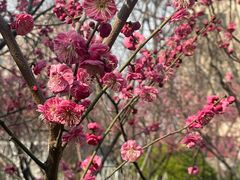 -山东大学(趵突泉校区)