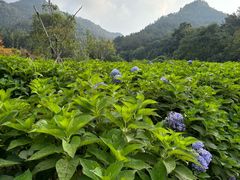 -昆嵛山石门里景区