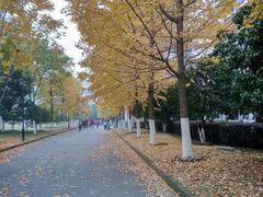 -公益图书馆(江南大学店)