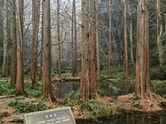 -虎跑公园
