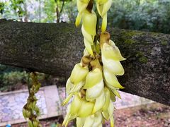 -天鹿湖森林公园