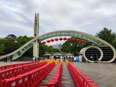 -南山植物园
