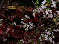 -新天地活力PARK