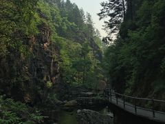 -茅兰沟国家森林公园