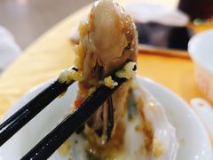 生蚝-蚝专家(北滘店)