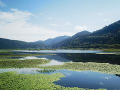 -腾冲北海湿地
