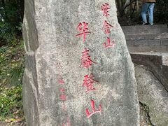 -紫金山山顶公园
