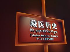 -青海藏文化博物院
