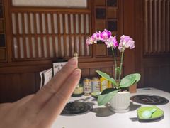 -一叶一世界•素食餐厅(环球中心店)