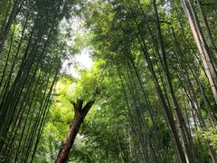 -四门塔风景区