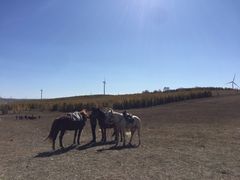 -塞罕坝国家级自然保护区