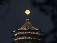 -博雅塔