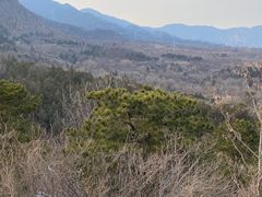 -阳台山自然风景区