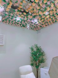 -MISS STAR·半永久纹眉·发际线·美瞳线