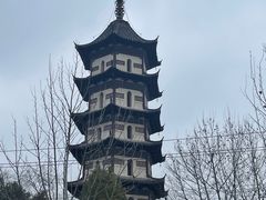 -天寿寺塔院