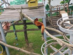 -西霞口神雕山野生动物世界