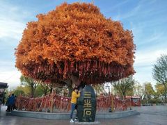 -嘉峪关方特欢乐世界